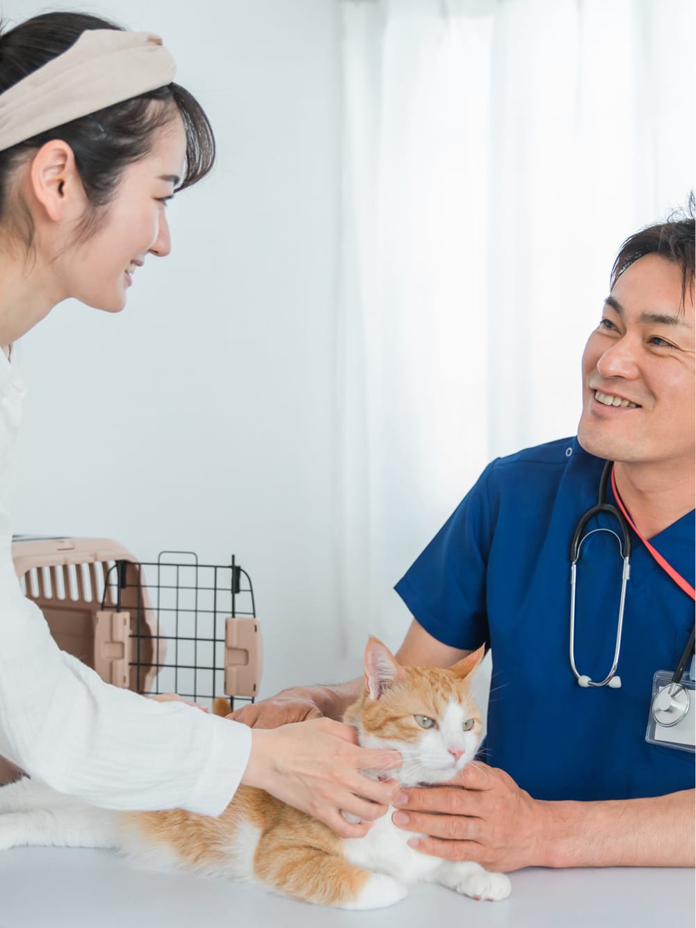 猫を撫でながら笑顔で会話をしている獣医師と飼い主の女性